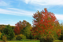 Herbst von Wolfgang Dufner