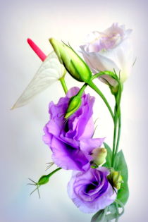 Lisianthus mit Anthurie by Kerstin Runge