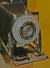 Brownie by camera-rustica