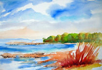 Bodensee von acrylics