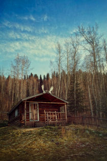 Robert Service Cabin von Priska  Wettstein