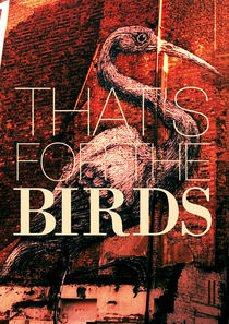 That's for the BIRDS von Giorgio Giussani