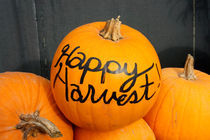 HAPPY FALL HARVEST PUMPKINS von John Mitchell