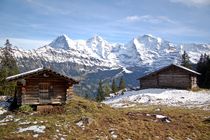 Schweizer Alm (Chuebodmi) by Bettina Schnittert