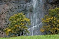 Wasserfall von Bettina Schnittert