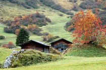 herbstliche Alm von Bettina Schnittert