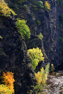 Wild Canyon by Wolfgang Dufner