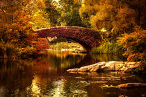 Gapstow Bridge von Chris Lord