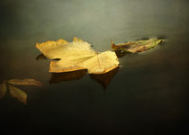 river autumn von Franziska Rullert