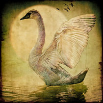 The Cygnet von Chris Lord