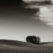 field Island  by Jaromir Hron