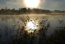 Geheimnisvoller See von tinadefortunata