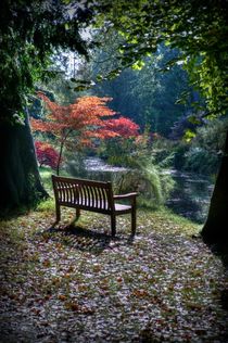 The Meditation Seat von Colin Metcalf