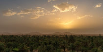 Date Palm Sunrise von Russell Bevan Photography