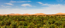 Date Palms and Sand Dunes by Russell Bevan Photography