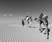 Heading Home von Russell Bevan Photography