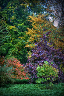 Autumn's Palette von Colin Metcalf