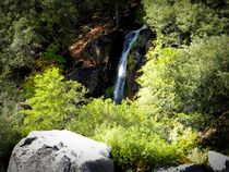Hidden Woodland Waterfall by Frank Wilson
