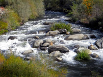 Feather River by Frank Wilson