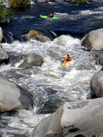 Riding The Chute von Frank Wilson