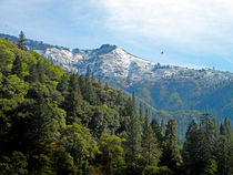 Sierra First Snow von Frank Wilson