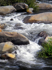 White Water Composition von Frank Wilson