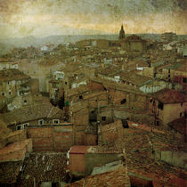 Calahorra roofs from the bell tower of Saint Andrew church von RicardMN Photography