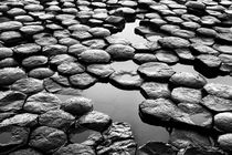 Giant's Causeway rocks von Horia Bogdan