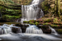 Scaleber Force von Chris Frost