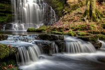 Scaleber Force falls  von Chris Frost