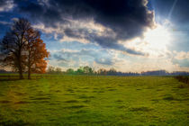 Sonne, Baum, Wolken und Wiese! von Stefan Kierek