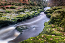 Autumnal Strid von Chris Frost