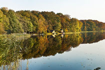 Herbst am See von Wolfgang Wittpahl