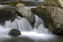 swimming stone - schwimmender Stein  by Ralf Rosendahl