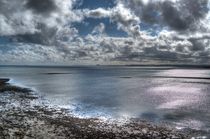 Lindisfarne Castle View von Colin Metcalf