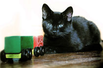 Ollie and the Toy Lorry von Sybille Sterk