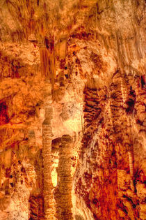 Tropfsteinhöhle in den Rhone Alpes by Gina Koch