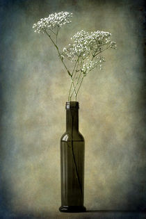 The olive oil bottle by Barbara Corvino