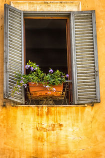 Am Fenster von gfischer