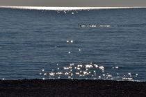 Swans on the sea by Benoît Charon