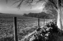 Chevin Dry Stone Wall #1 Mono by Colin Metcalf