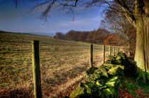 Chevin Dry Stone Wall #1 by Colin Metcalf