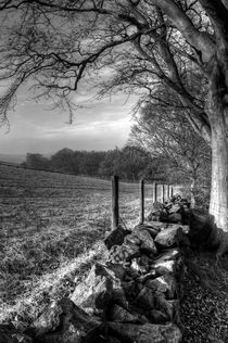 Chevin Dry Stone Wall #2 Mono by Colin Metcalf