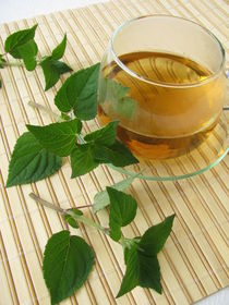 Tee mit Honigmelonen-Salbei von Heike Rau