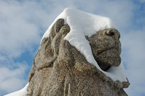 Schneeblinder Löwe aus Stein by Matthias Hauser