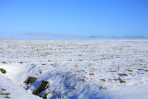 Snowy landscape von Jutta Ehrlich