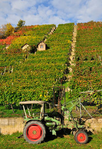 Stuttgart - Traktor und grüne Weinberge by Matthias Hauser