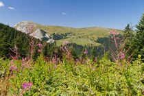 Ilgaz Mountains von Evren Kalinbacak