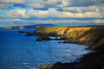 The North Cliffs, Cornwall von Louise Heusinkveld