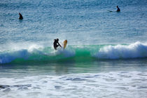 Surfers von Louise Heusinkveld